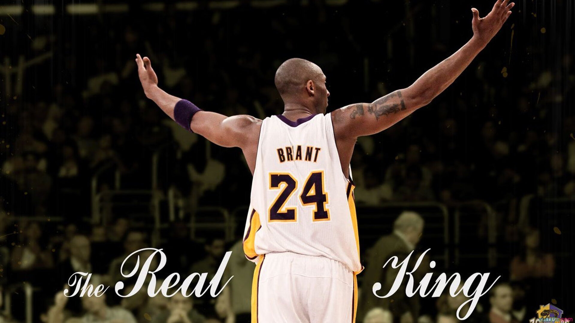 李亚杰与程子龙跳板配合无懈可击，李亚杰跳水