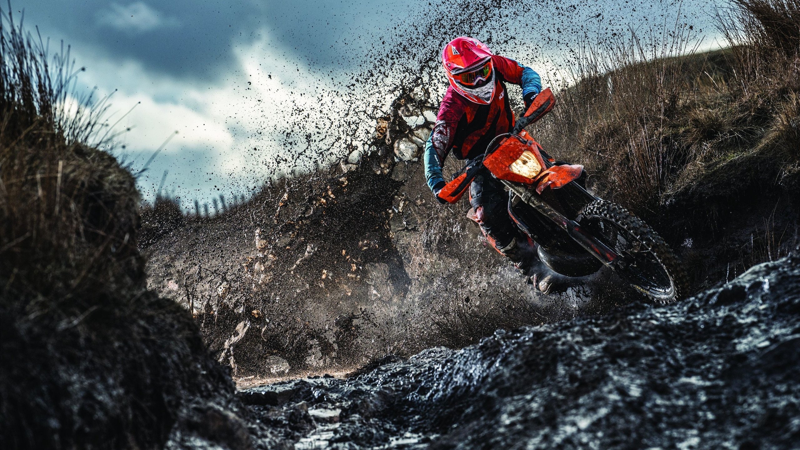 商业模式：球队与地方政府共建体育产业园案例解析，体育商业圈的看法